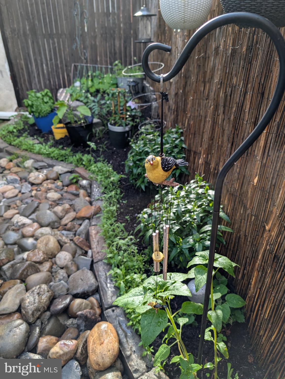 1729 Reed Street Philadelphia, PA 19146 - Photo 6 of 6 a backyard of a house with lots of green space