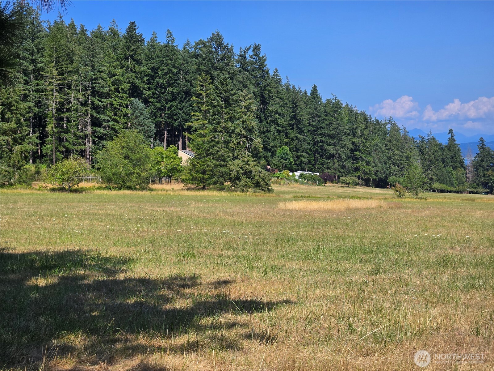 2020 Strawberry Point Road Oak Harbor, WA 98277 - Photo 2 of 22