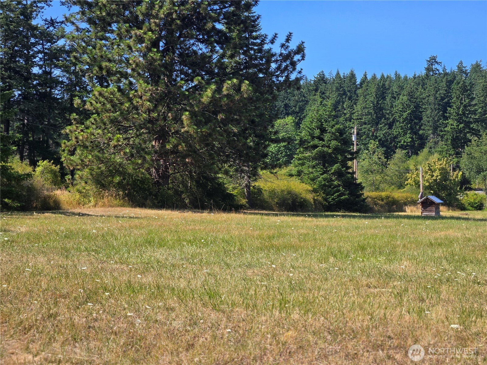 2020 Strawberry Point Road Oak Harbor, WA 98277 - Photo 6 of 22