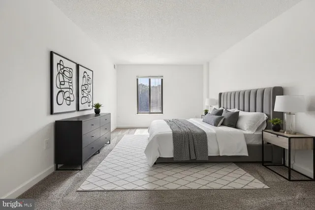 a spacious bedroom with a bed and dresser