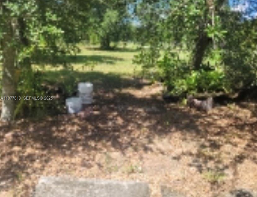 320 South Trebol Street Clewiston, FL 33440 - Photo 11 of 20 a view of a yard