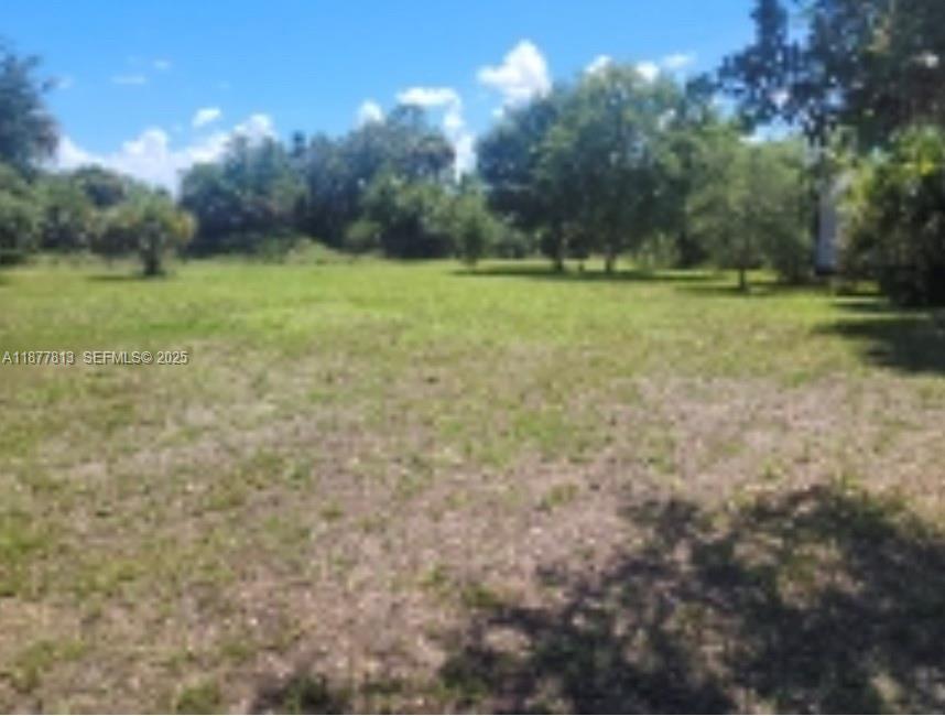 320 South Trebol Street Clewiston, FL 33440 - Photo 16 of 20 a view of a field with a trees in the background