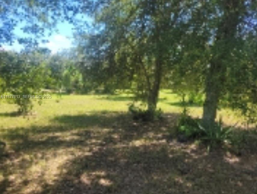 320 South Trebol Street Clewiston, FL 33440 - Photo 17 of 20 a view of a yard with a tree