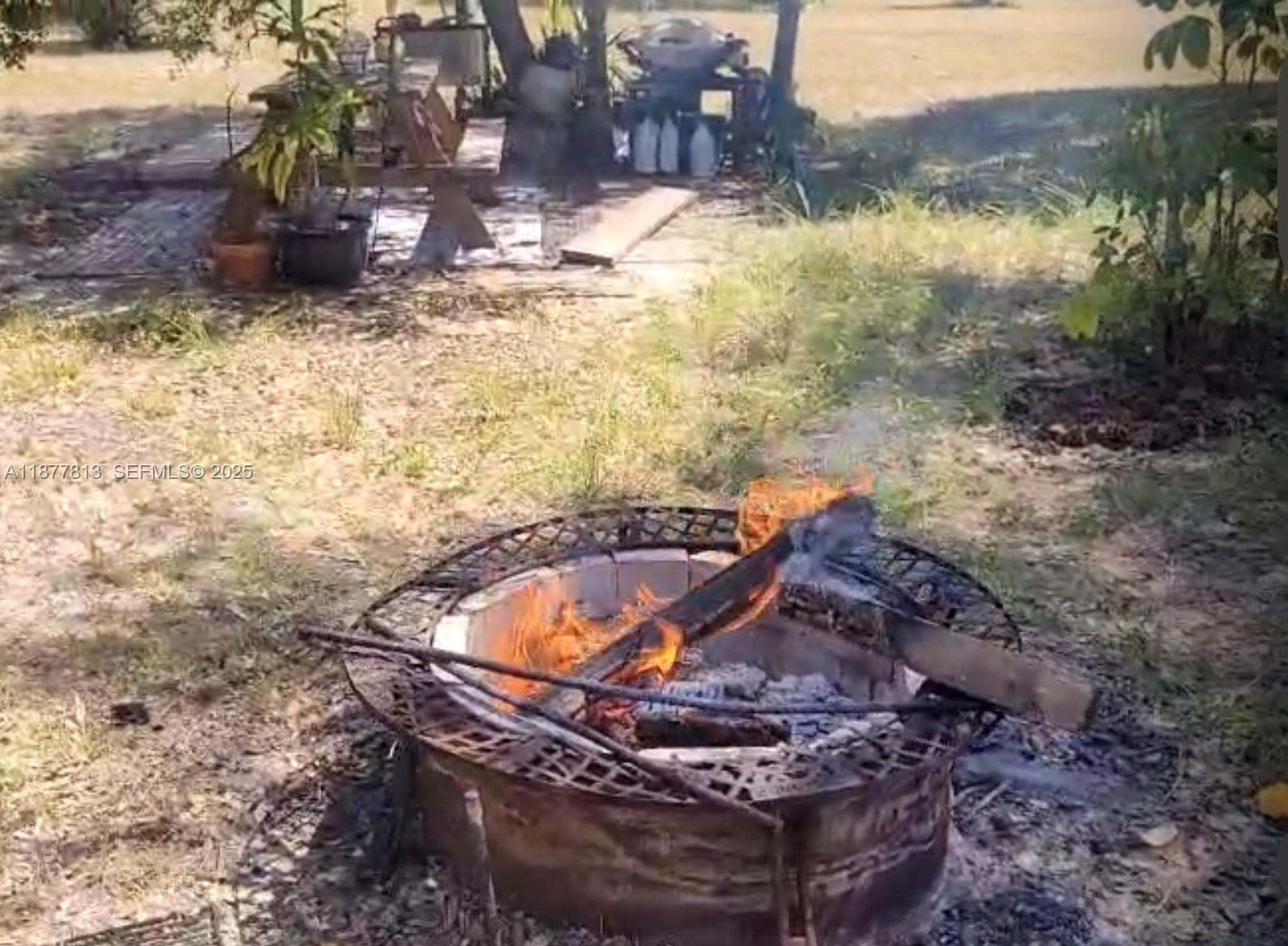 320 South Trebol Street Clewiston, FL 33440 - Photo 19 of 20 a view of a backyard with large trees