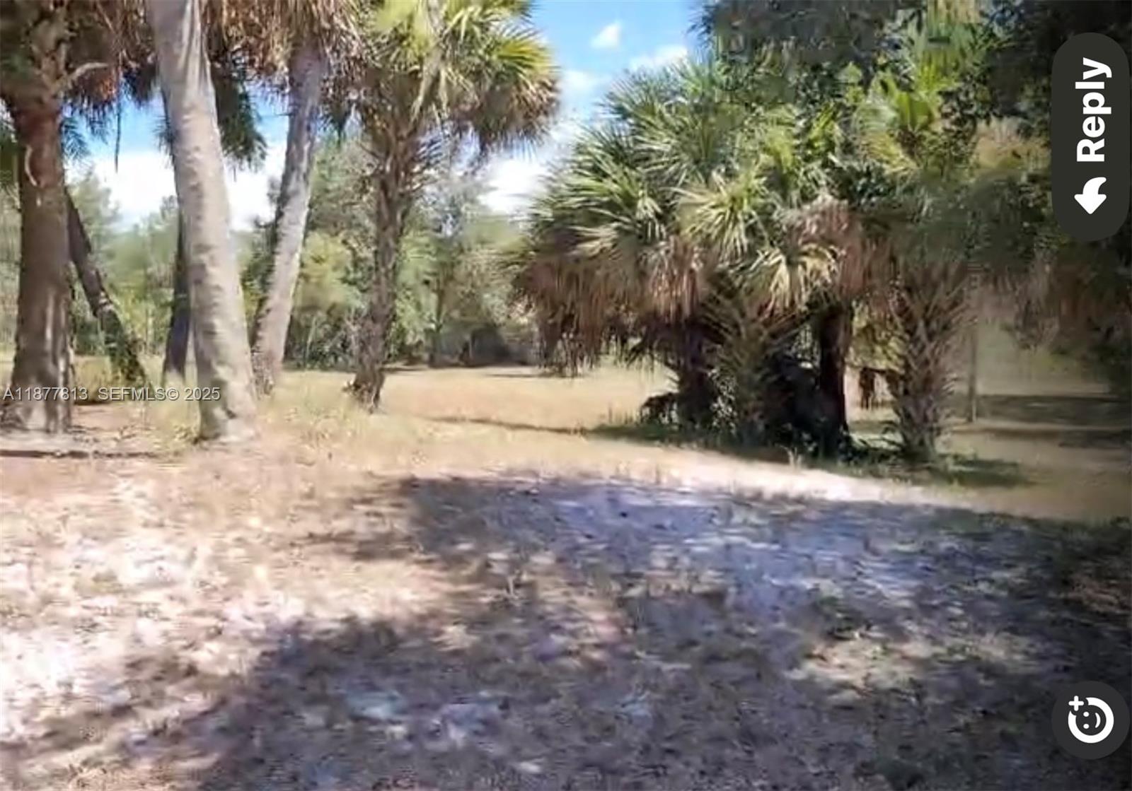 320 South Trebol Street Clewiston, FL 33440 - Photo 5 of 20 a view of empty space with trees