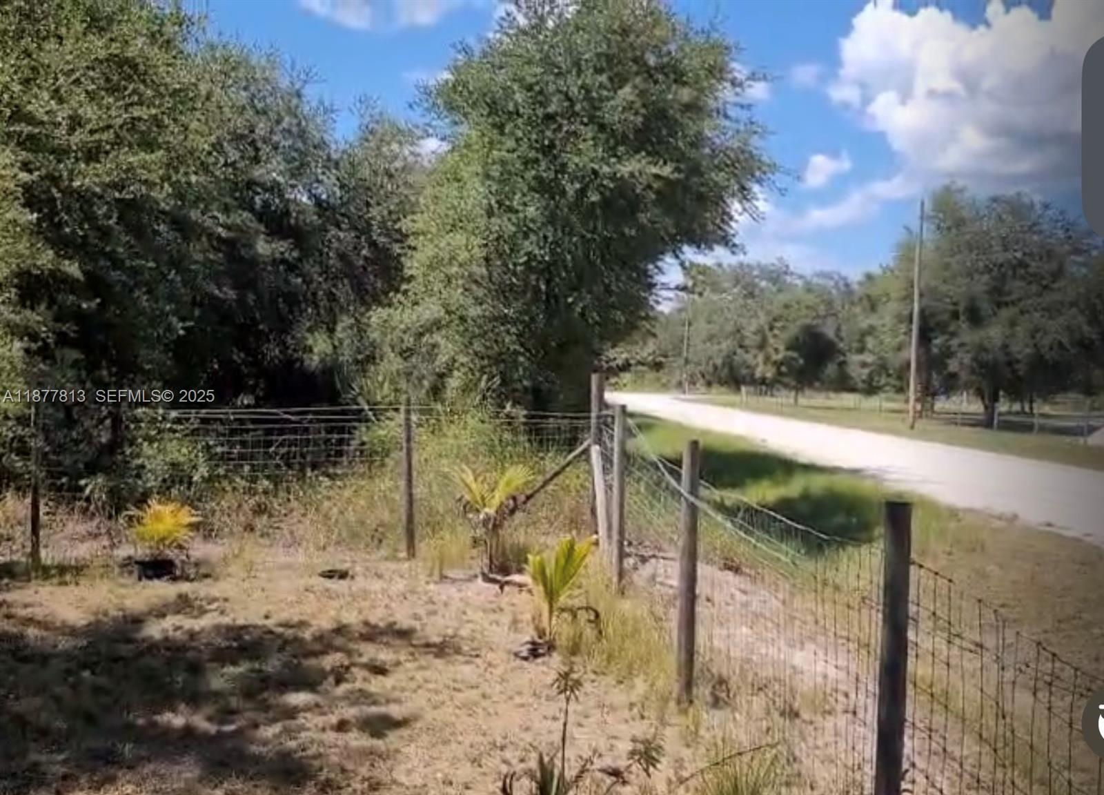 320 South Trebol Street Clewiston, FL 33440 - Photo 6 of 20 a backyard of a house with lots of green space