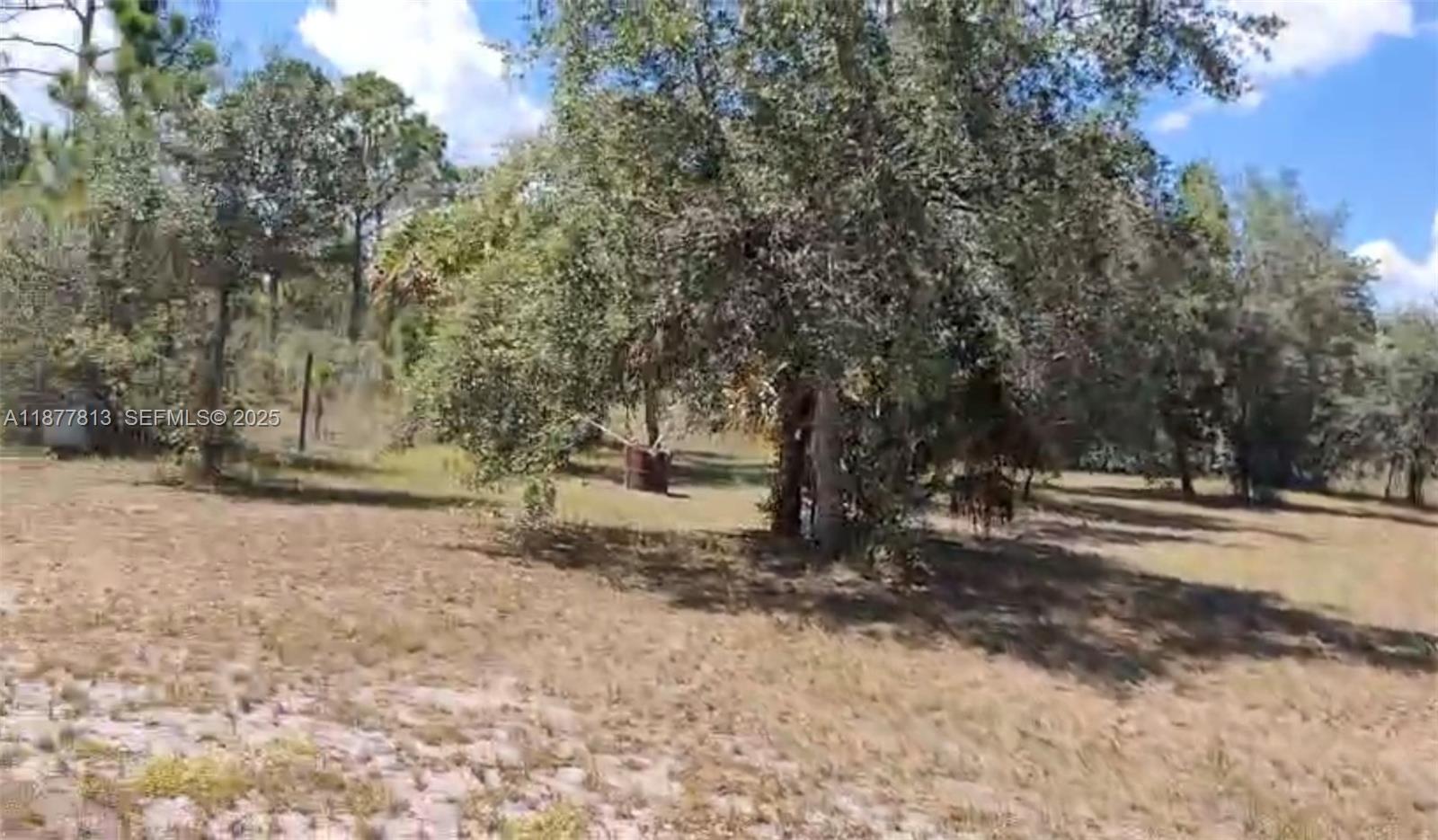 320 South Trebol Street Clewiston, FL 33440 - Photo 9 of 20 a view of a yard with trees