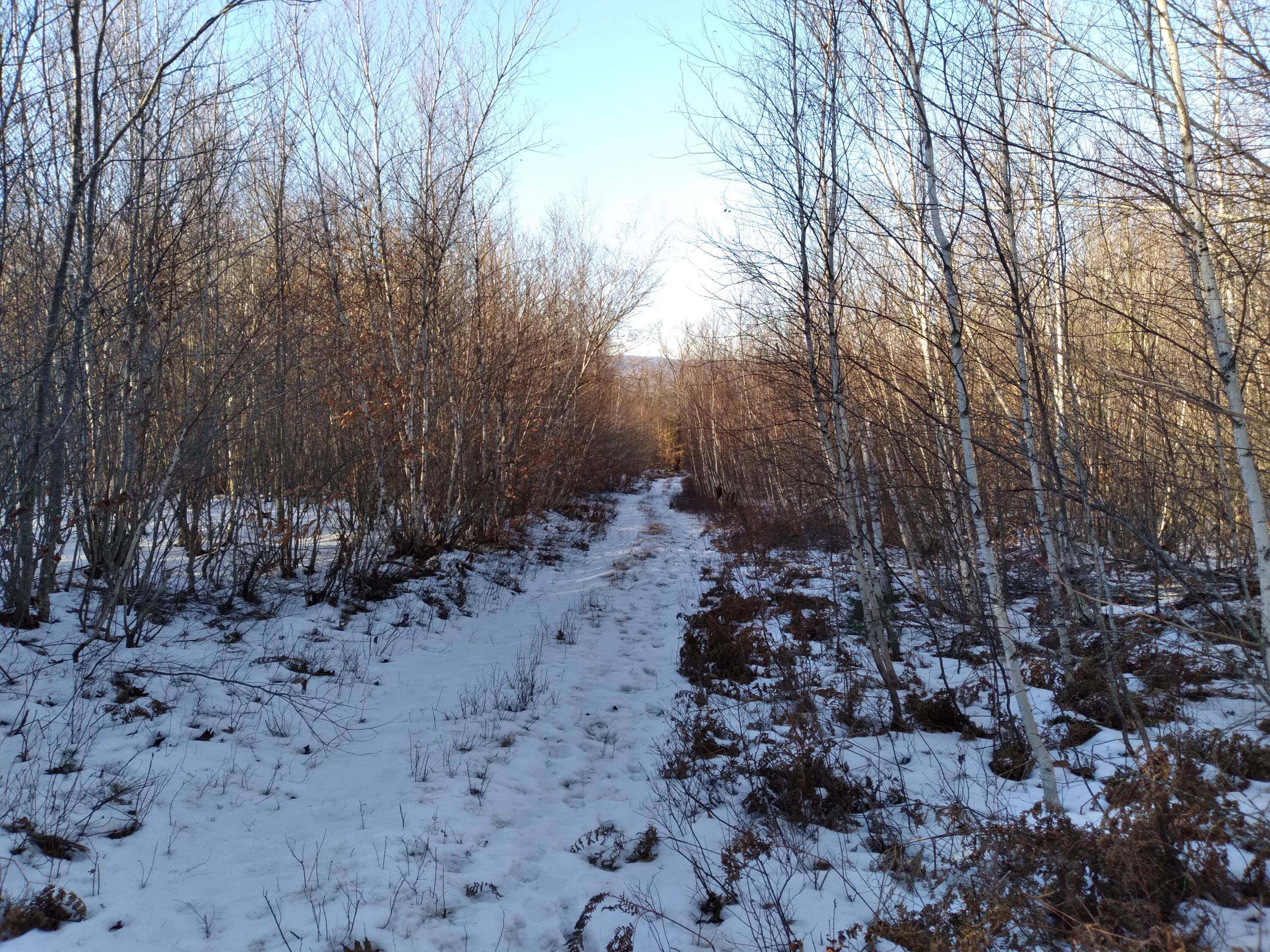 0 Mc Neil Road Fryeburg, ME 04037 - Photo 16 of 19 20211217_135137
