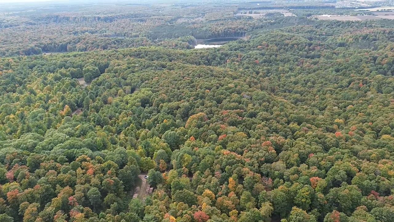 0 South Fritz Road Empire, MI 49630 - Photo 20 of 28