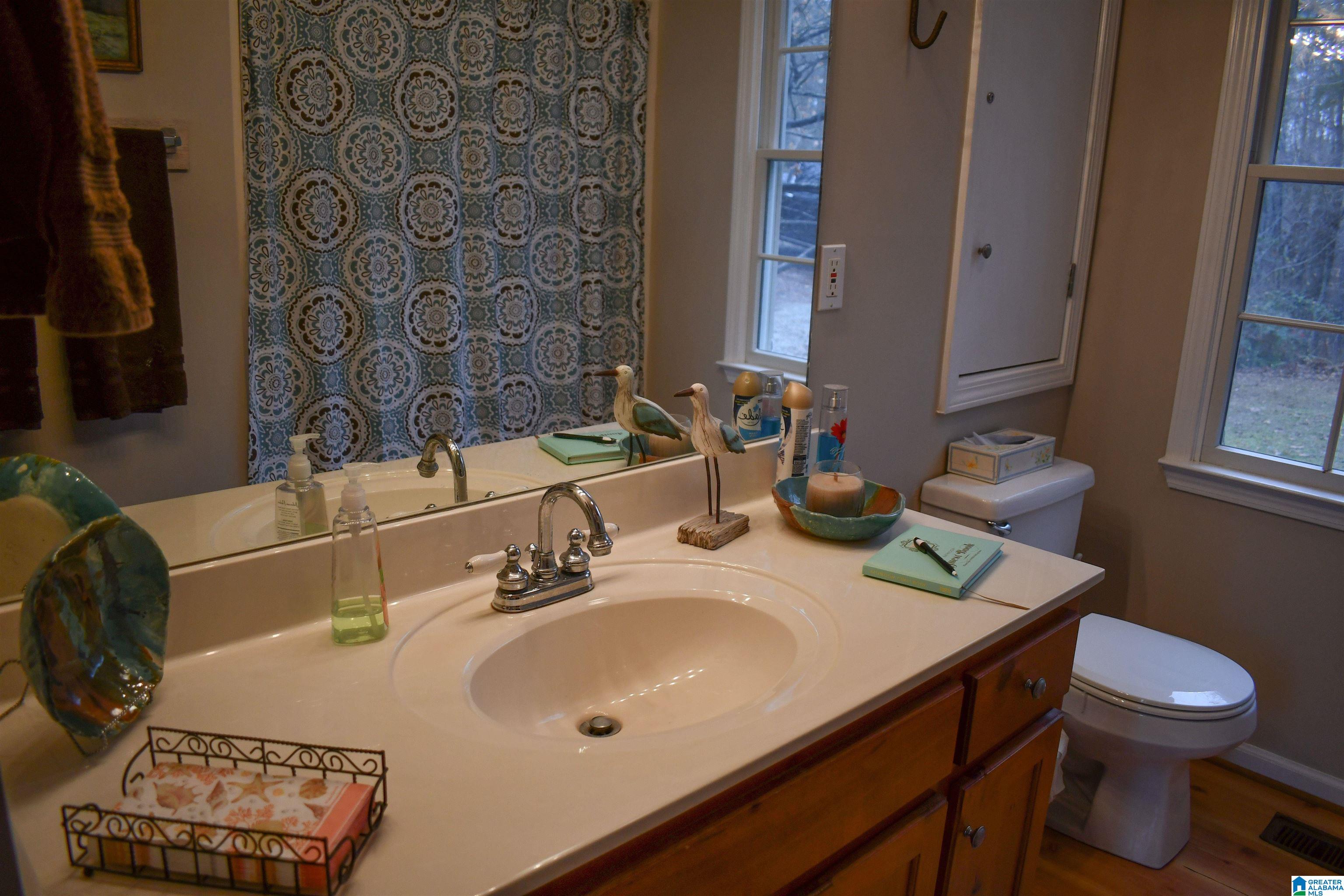 2844 County Road 256 Wedowee, AL 36278 - Photo 12 of 50