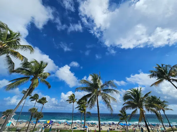 $7,000 | 233 Southeast 21st Avenue, Unit 101, Deerfield Beach, FL 33441