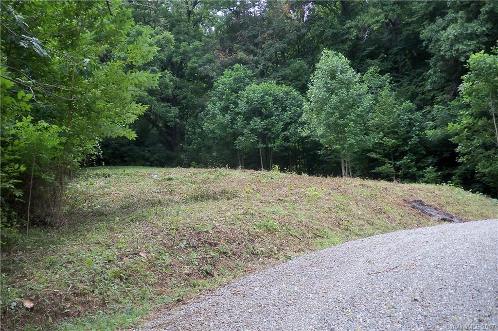 Lot R-8 Lot R-8 Cisco Cove Waynesville, NC 28785 - Photo 3 of 12