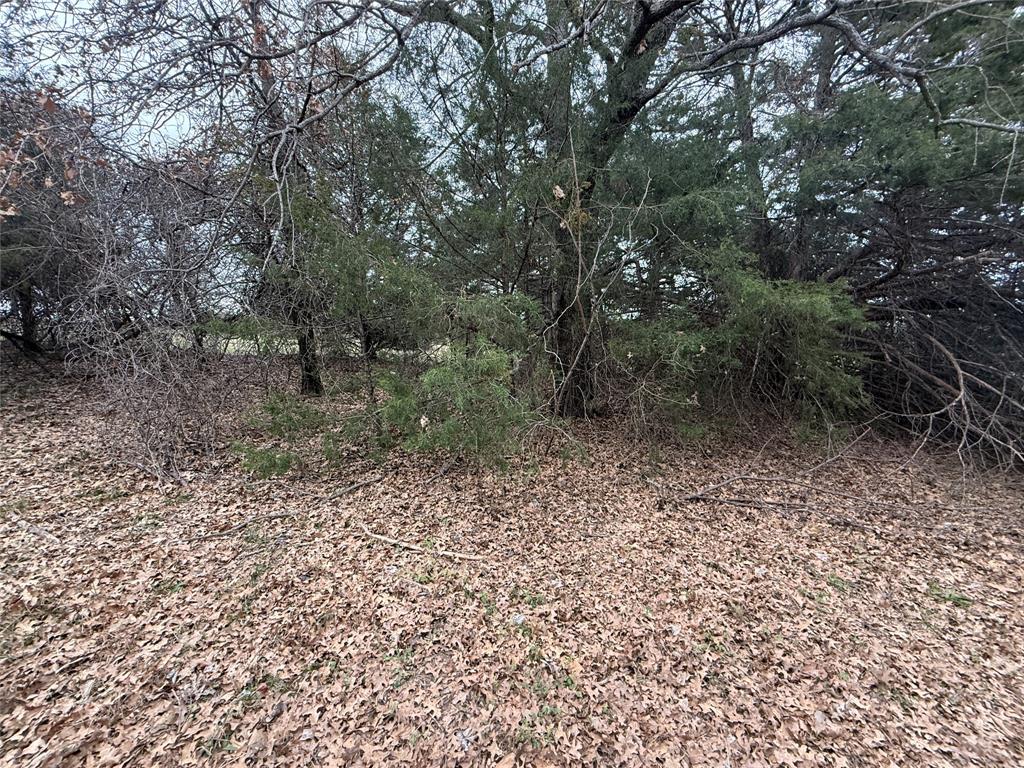 353 County Road 1260 Decatur, TX 76234 - Photo 11 of 14