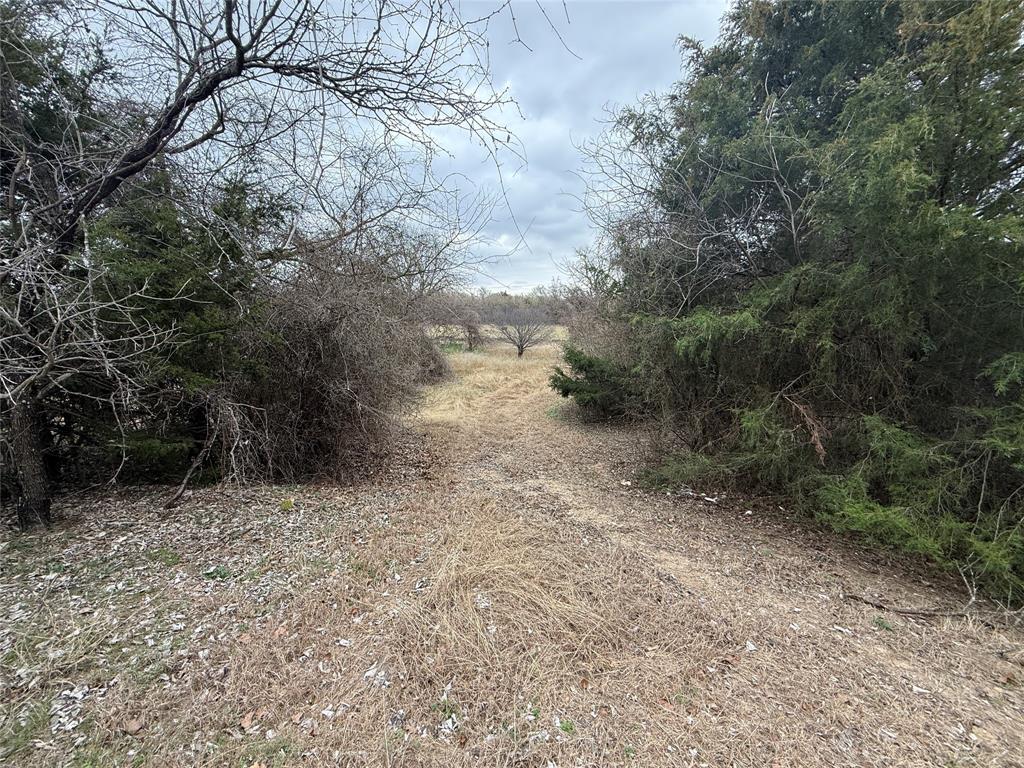 353 County Road 1260 Decatur, TX 76234 - Photo 12 of 14