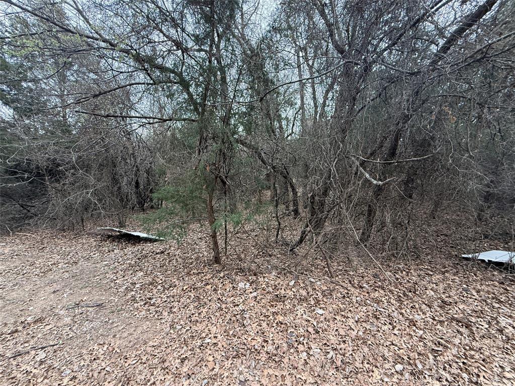 353 County Road 1260 Decatur, TX 76234 - Photo 10 of 14