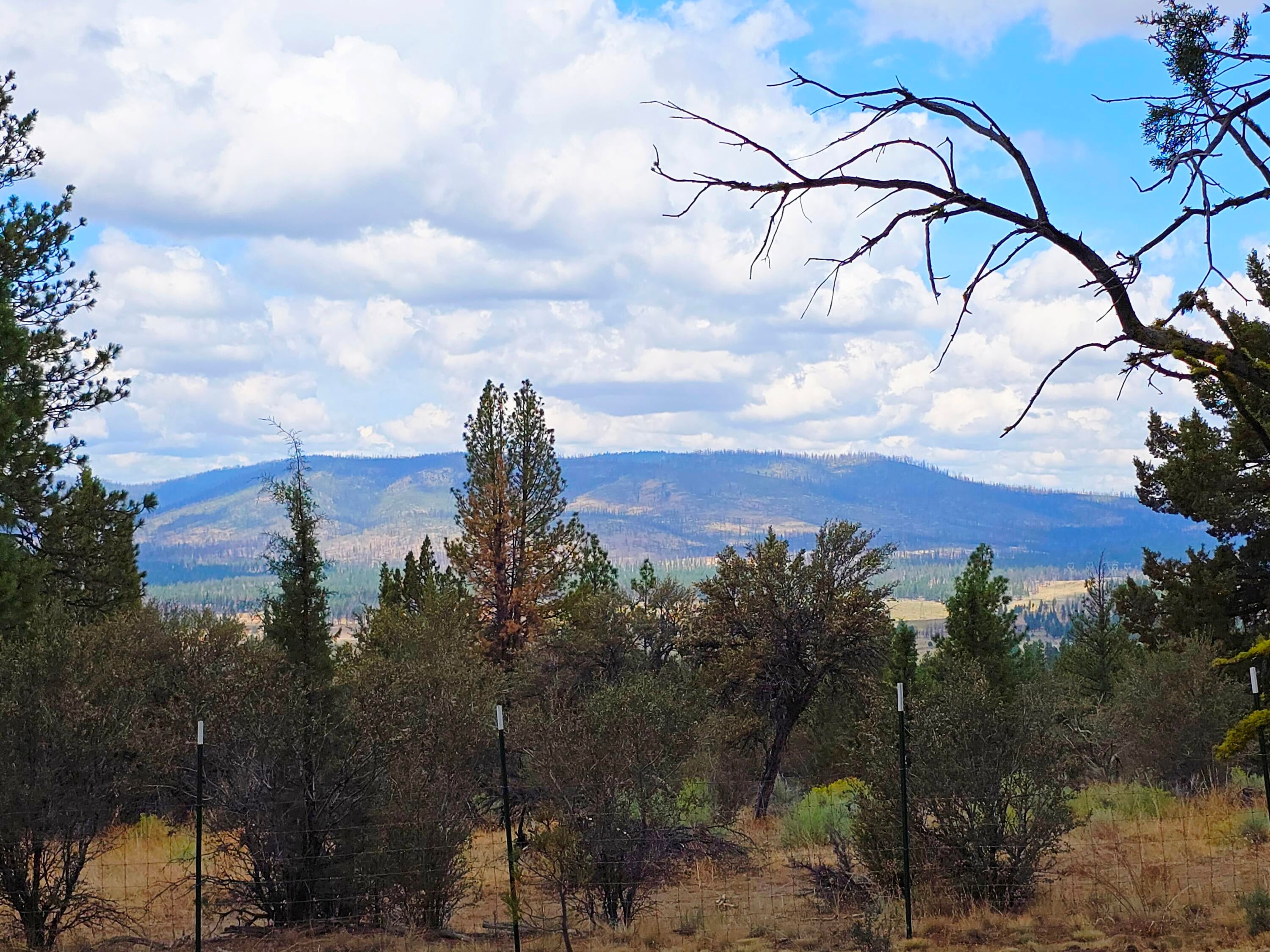 48070 Partin Drive Beatty, OR 97621 - Photo 18 of 29 The view