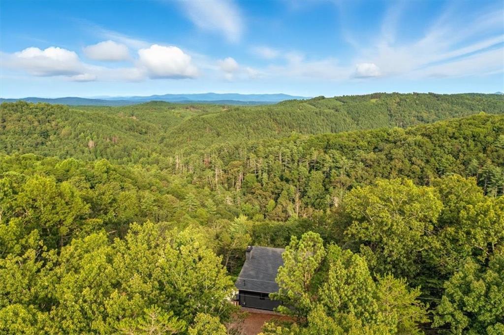 1379 Foxhound Trail Northeast Ranger, GA 30734 - Photo 3 of 42 a view of lake with green space