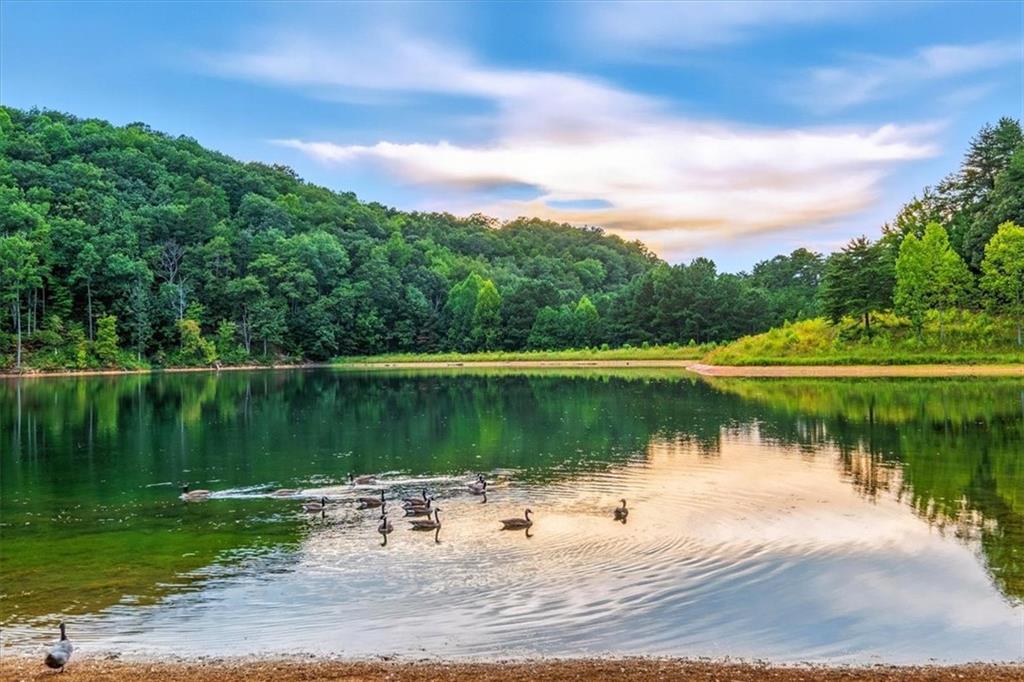 1379 Foxhound Trail Northeast Ranger, GA 30734 - Photo 39 of 42 a lake view with a lake view