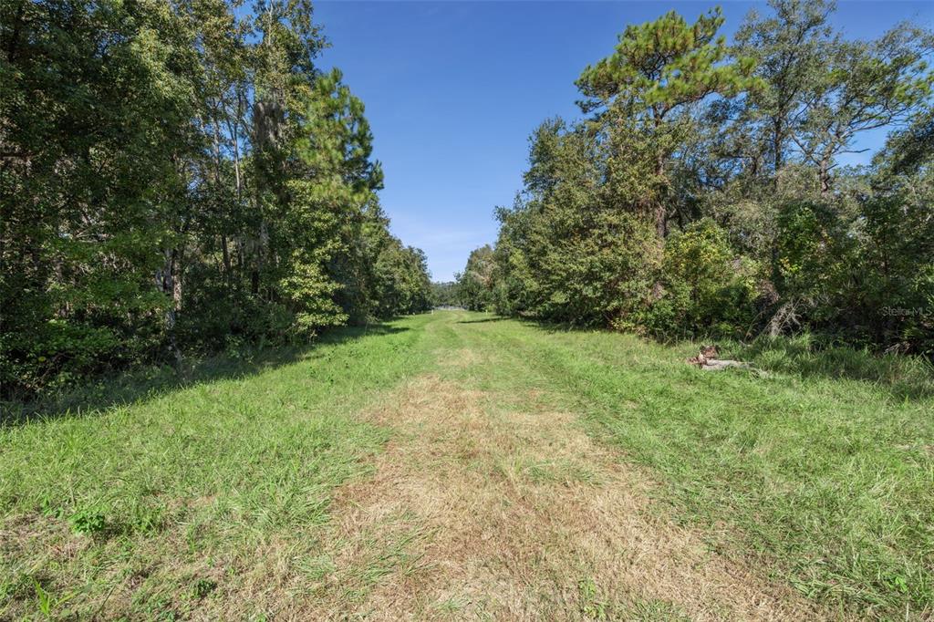 Faye Street Apopka, FL 32712 - Photo 19 of 19 a view of a yard with a tree