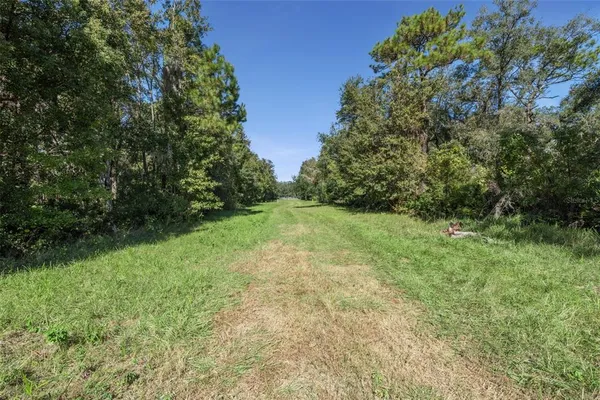 $474,000 | Faye Street, Apopka, FL 32712