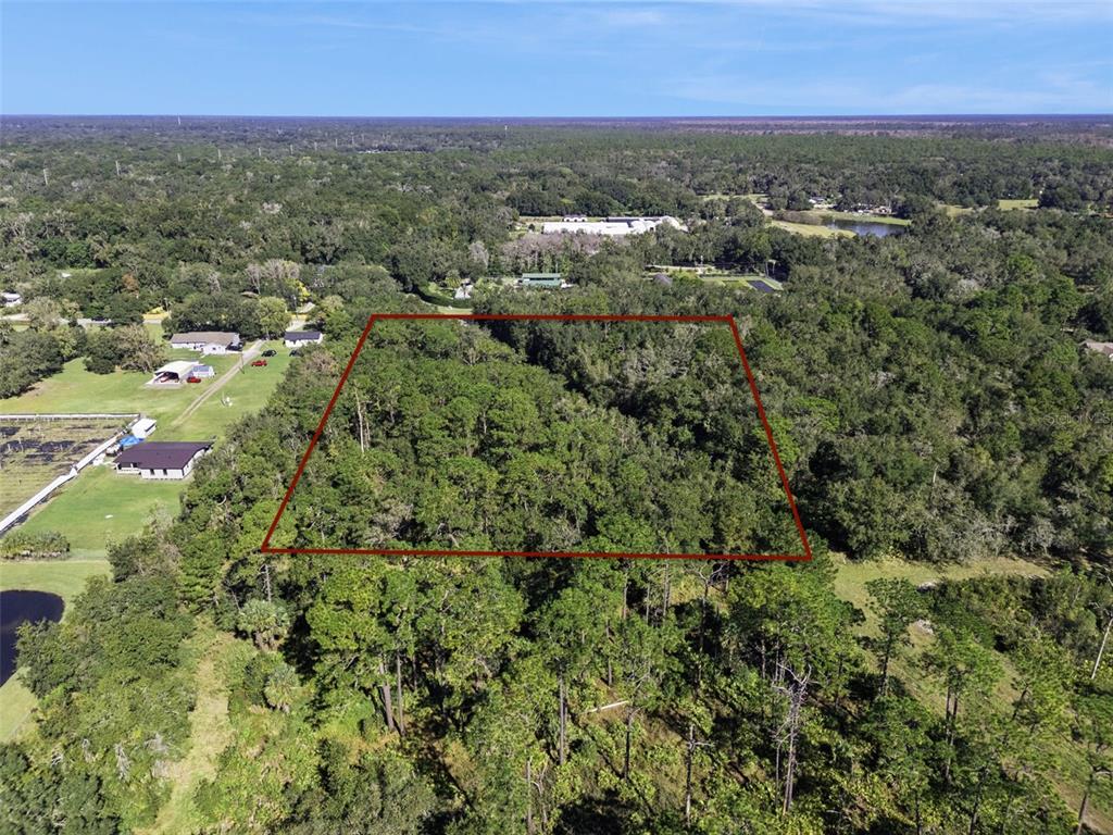 Faye Street Apopka, FL 32712 - Photo 5 of 19 an aerial view of residential houses with outdoor space and trees