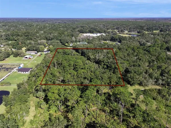 a view of a city with lush green forest