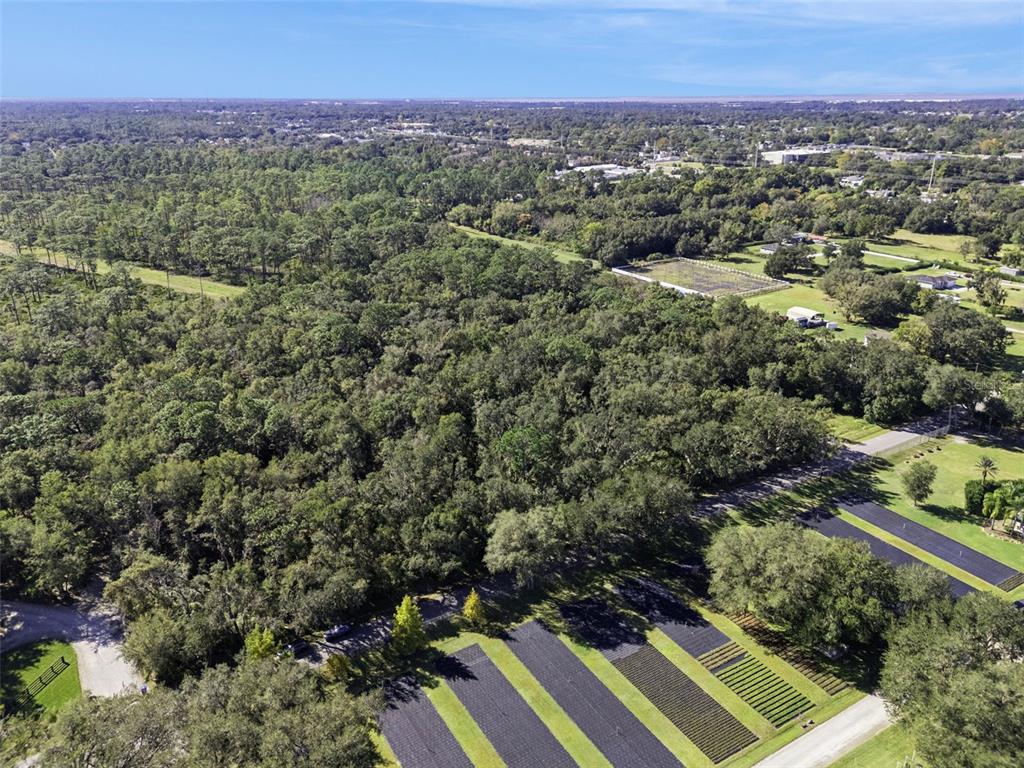 Faye Street Apopka, FL 32712 - Photo 8 of 19 view of a city with lush green forest