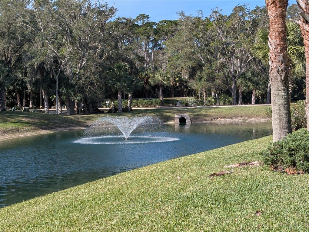 1200 Canopy Walk Lane, Unit 1235 Palm Coast, FL 32137 - Photo 24 of 37 a view of a swimming pool with an outdoor space