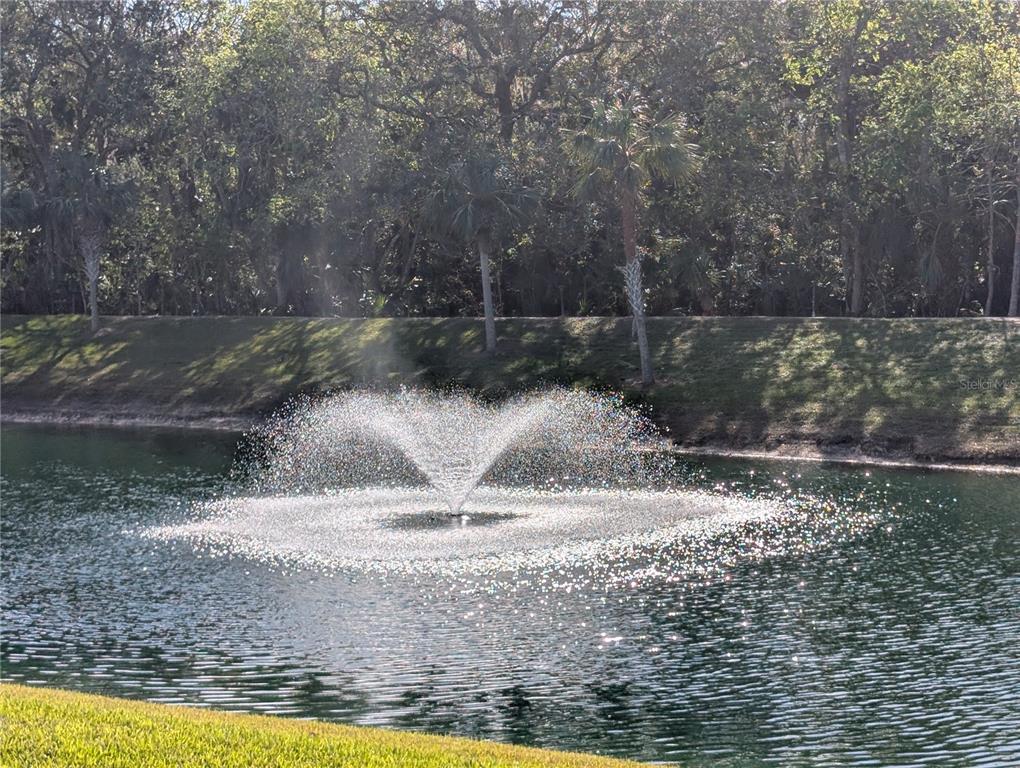 1200 Canopy Walk Lane, Unit 1235 Palm Coast, FL 32137 - Photo 25 of 37 a view of a water fountain