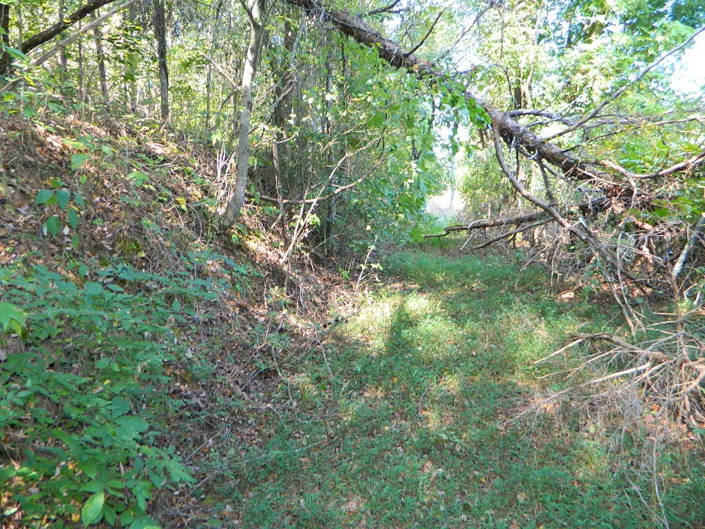 0 Woodwind Way Rising Fawn, GA 30738 - Photo 15 of 24
