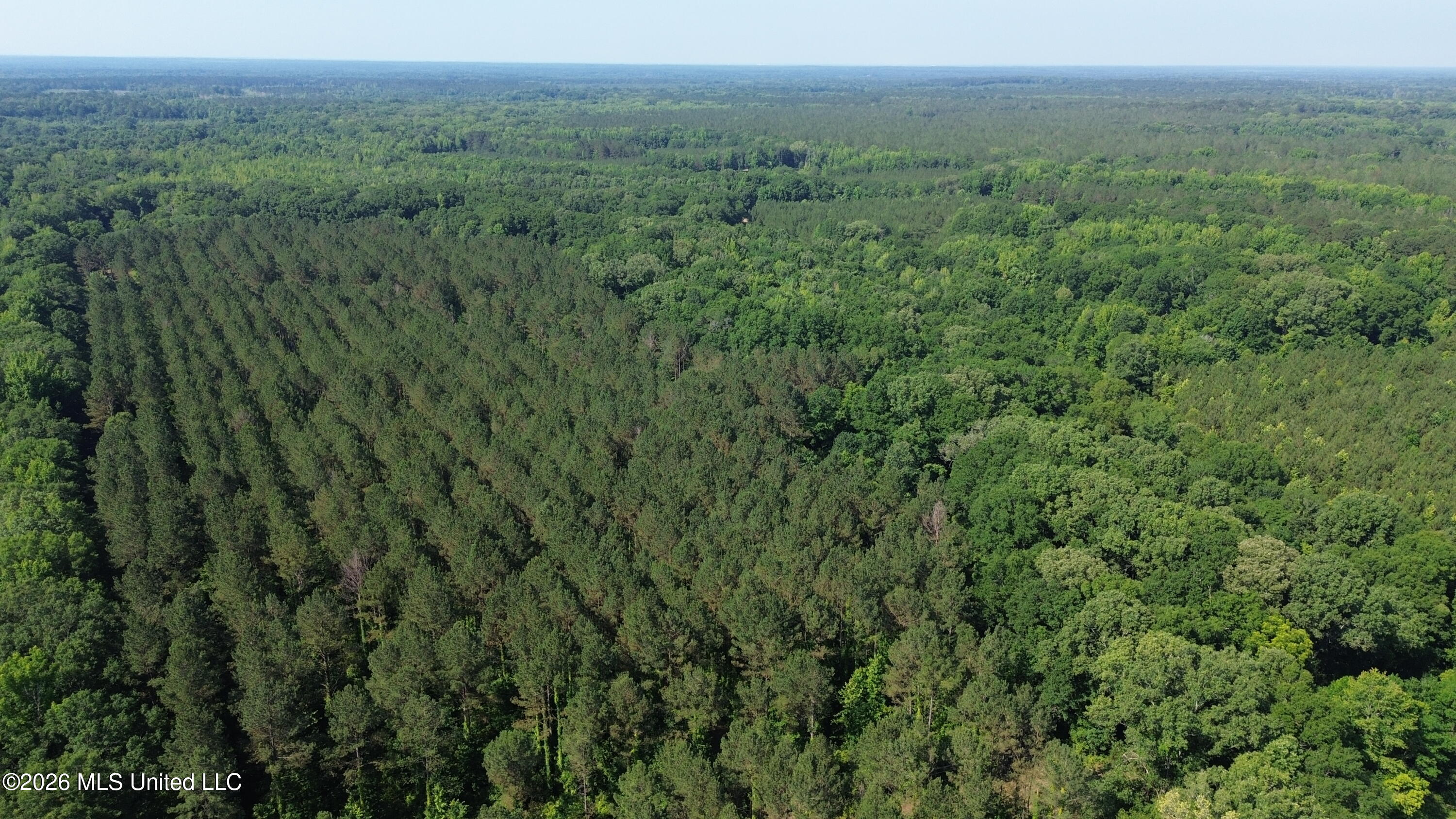 1359 Loring Rd Exd Camden, MS 39045 - Photo 45 of 91 DJI_0448