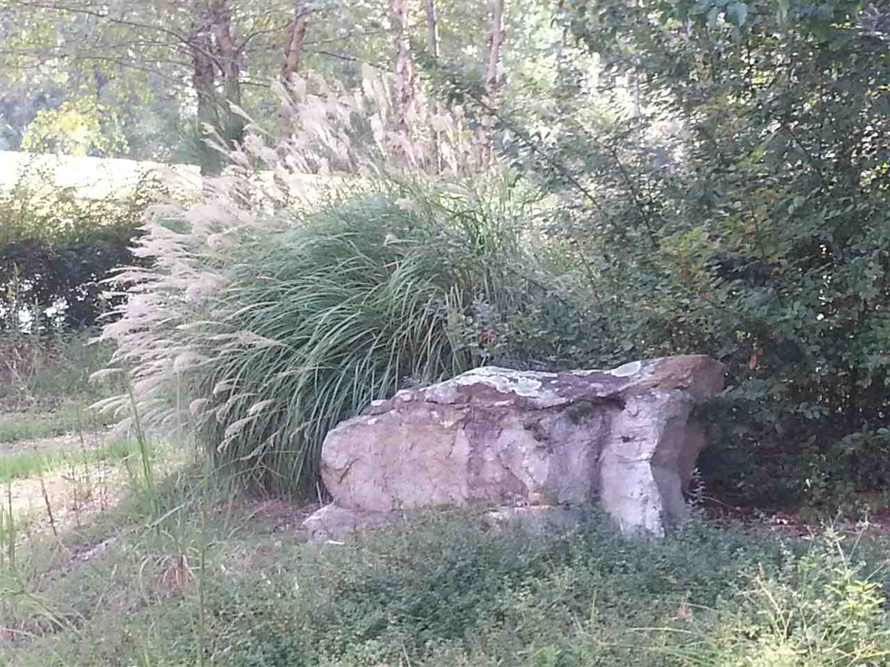 12027 Springridge Road Byram, MS 39170 - Photo 16 of 37 Photo 16
