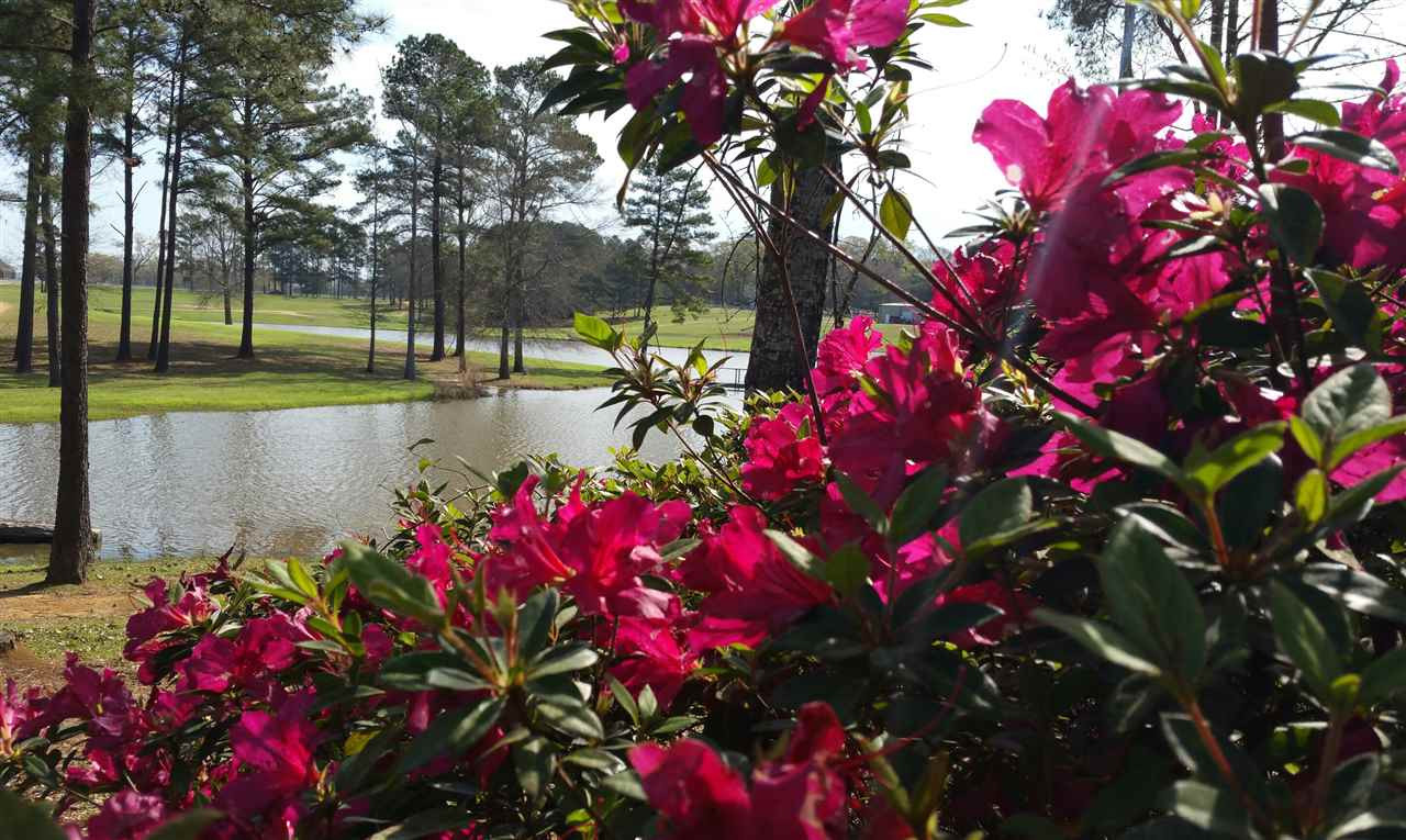 12027 Springridge Road Byram, MS 39170 - Photo 19 of 37 Photo 19