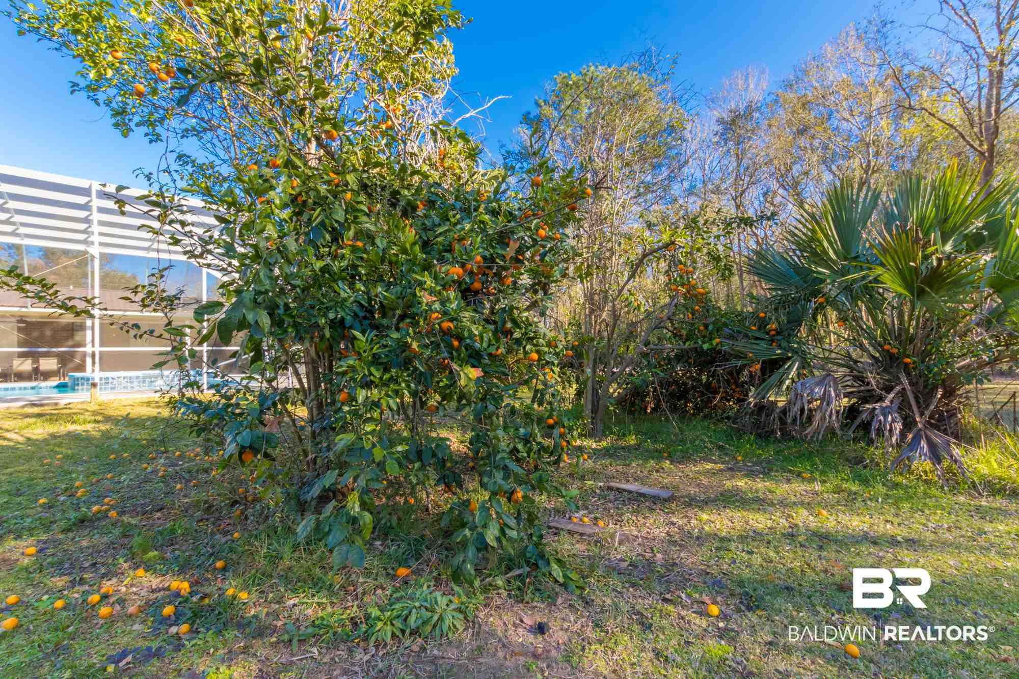 17151 Devine Road Loxley, AL 36551 - Photo 28 of 35