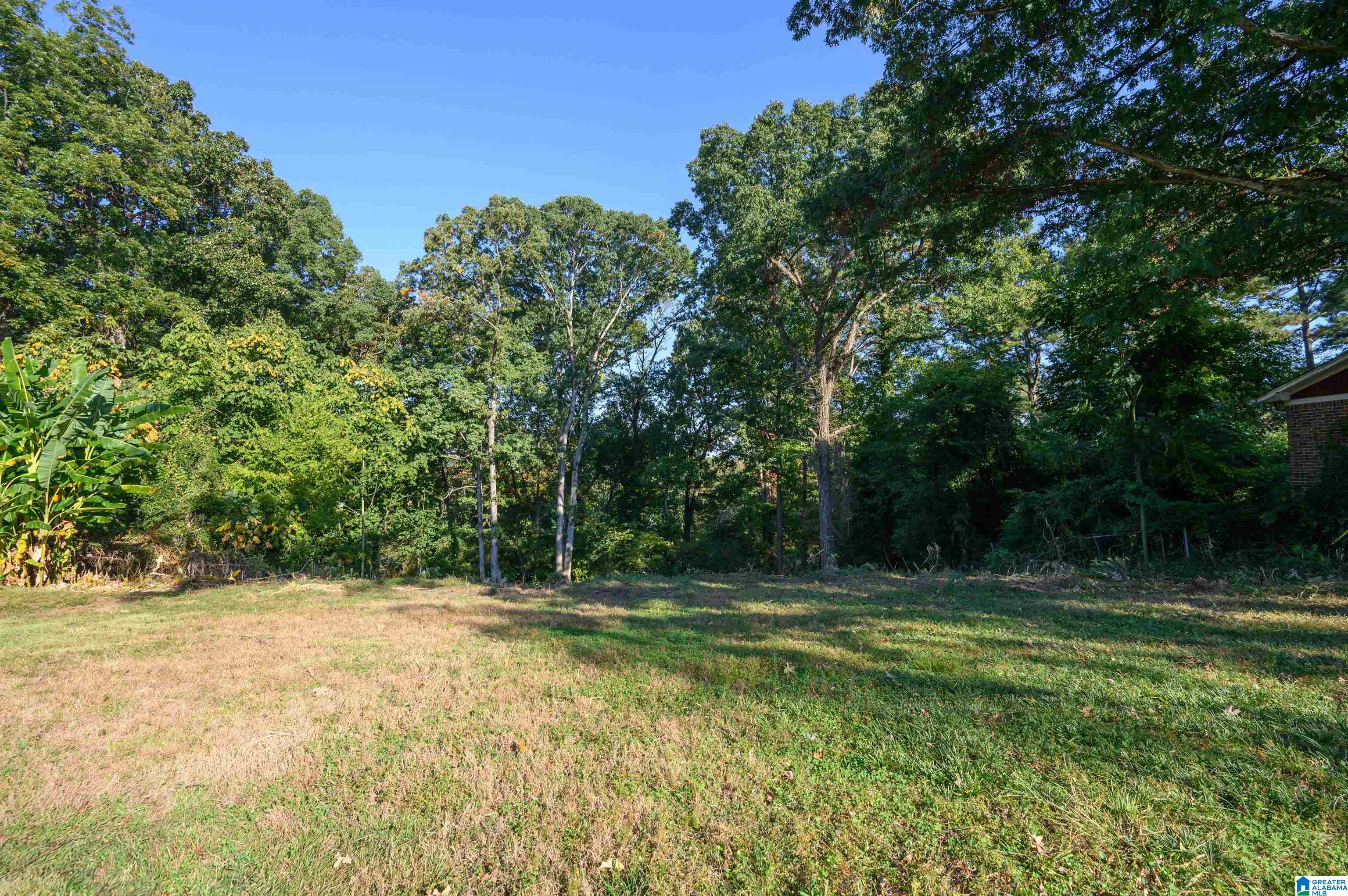 2461 Dolly Ridge Trail, Unit 12 Birmingham, AL 35243 - Photo 3 of 16