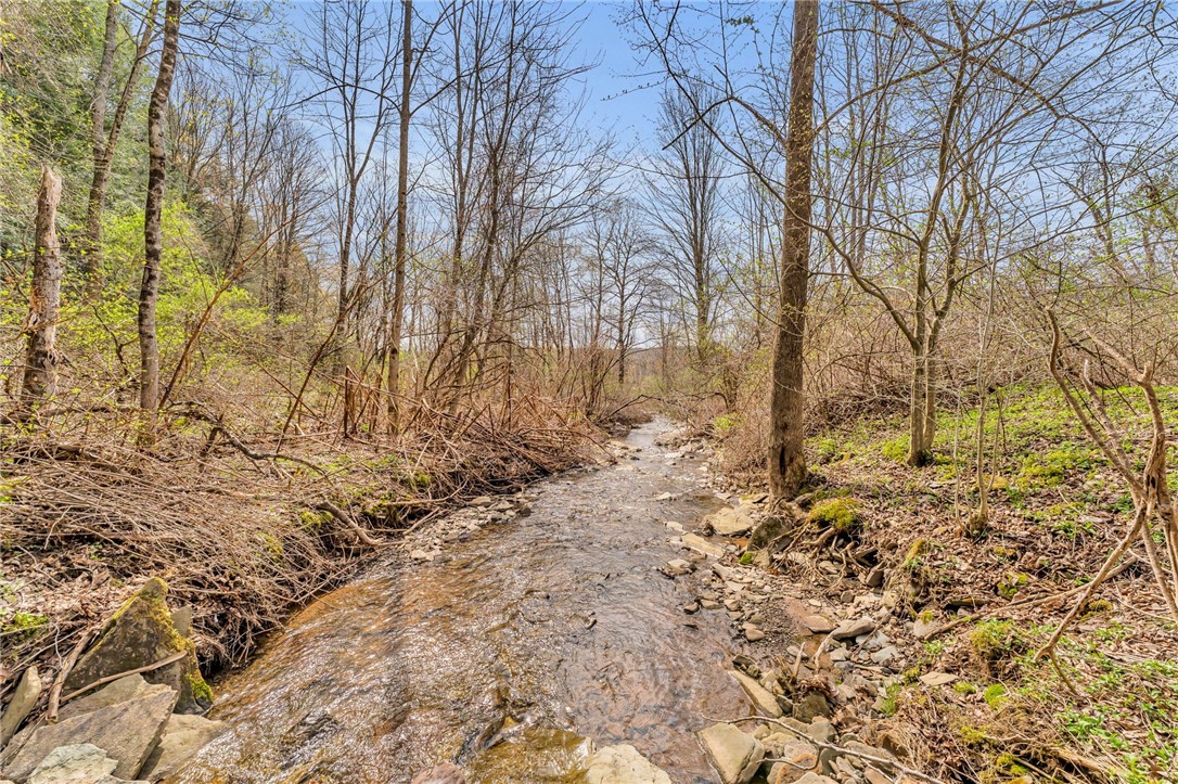 12082 State Highway Walton, NY 13856 - Photo 25 of 28 Rear Stream