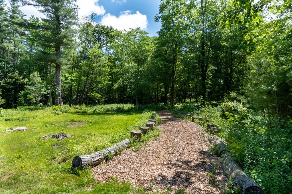 76 River Road Ware, MA 01082 - Photo 22 of 30 a view of backyard with swimming pool