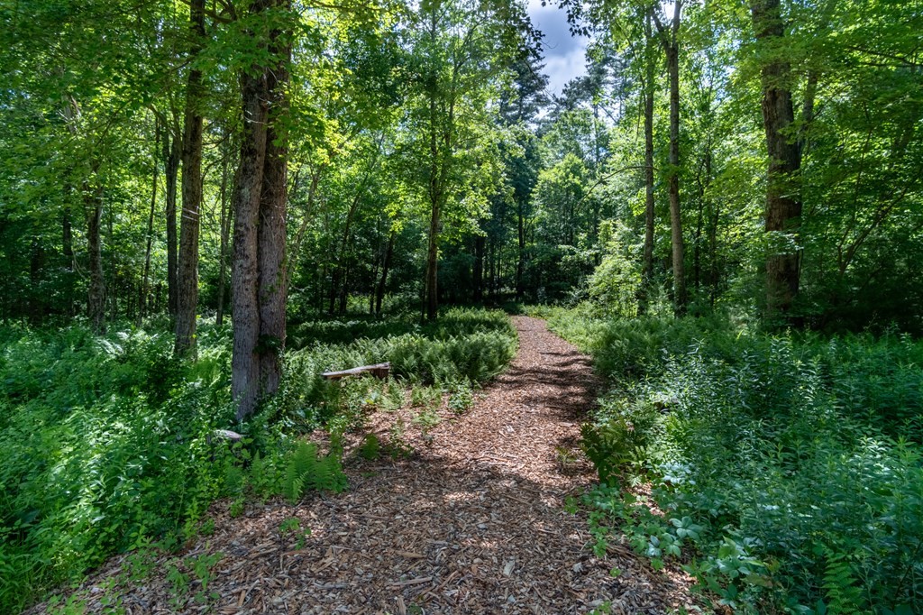 76 River Road Ware, MA 01082 - Photo 24 of 30 a view of a forest with trees in the background
