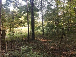 4 Boyd Road Benton, TN 37307 - Photo 7 of 7