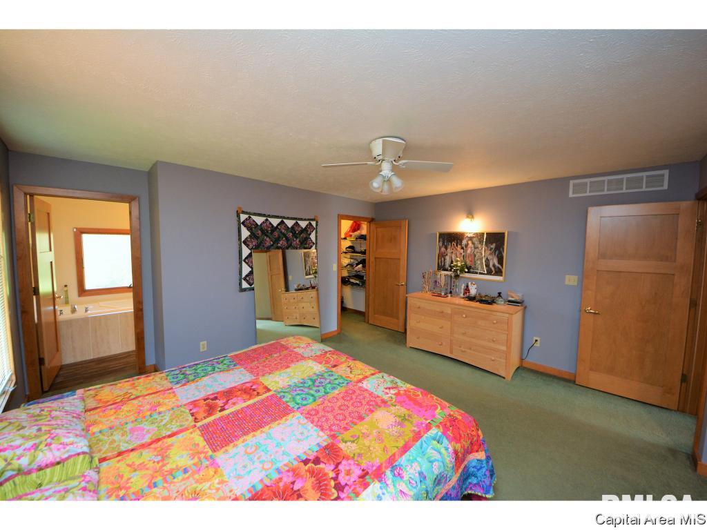 305 Stetson Road New Berlin, IL 62670 - Photo 10 of 21