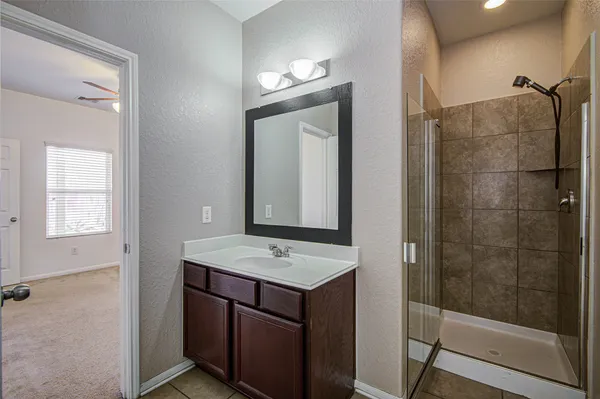 a bathroom with a shower sink and mirror