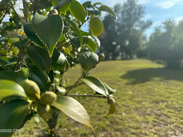 $170,000 | Tbd East 4th Street, Panama City, FL 32401