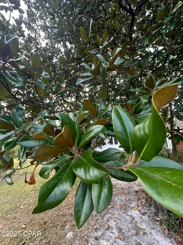 $170,000 | Tbd East 4th Street, Panama City, FL 32401