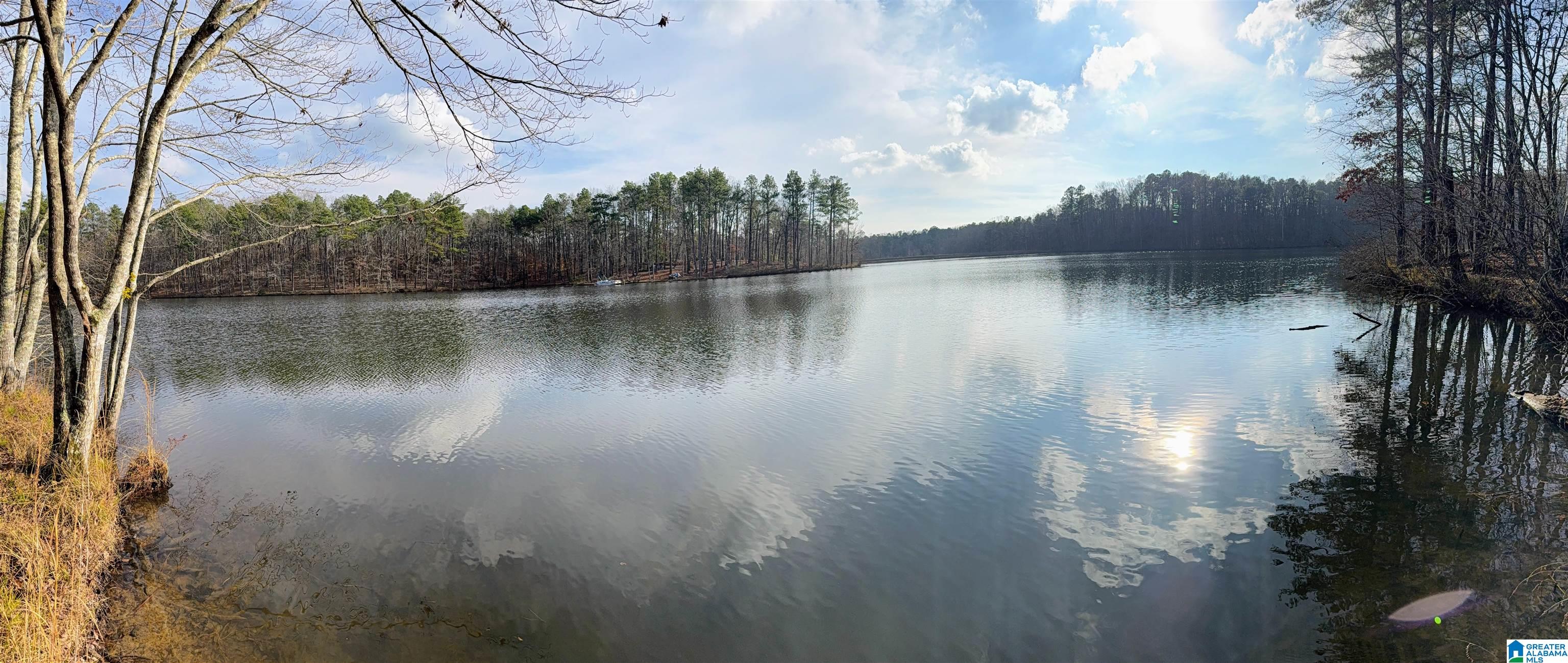 0 Deer Run Road Alabaster, AL 35007 - Photo 3 of 25