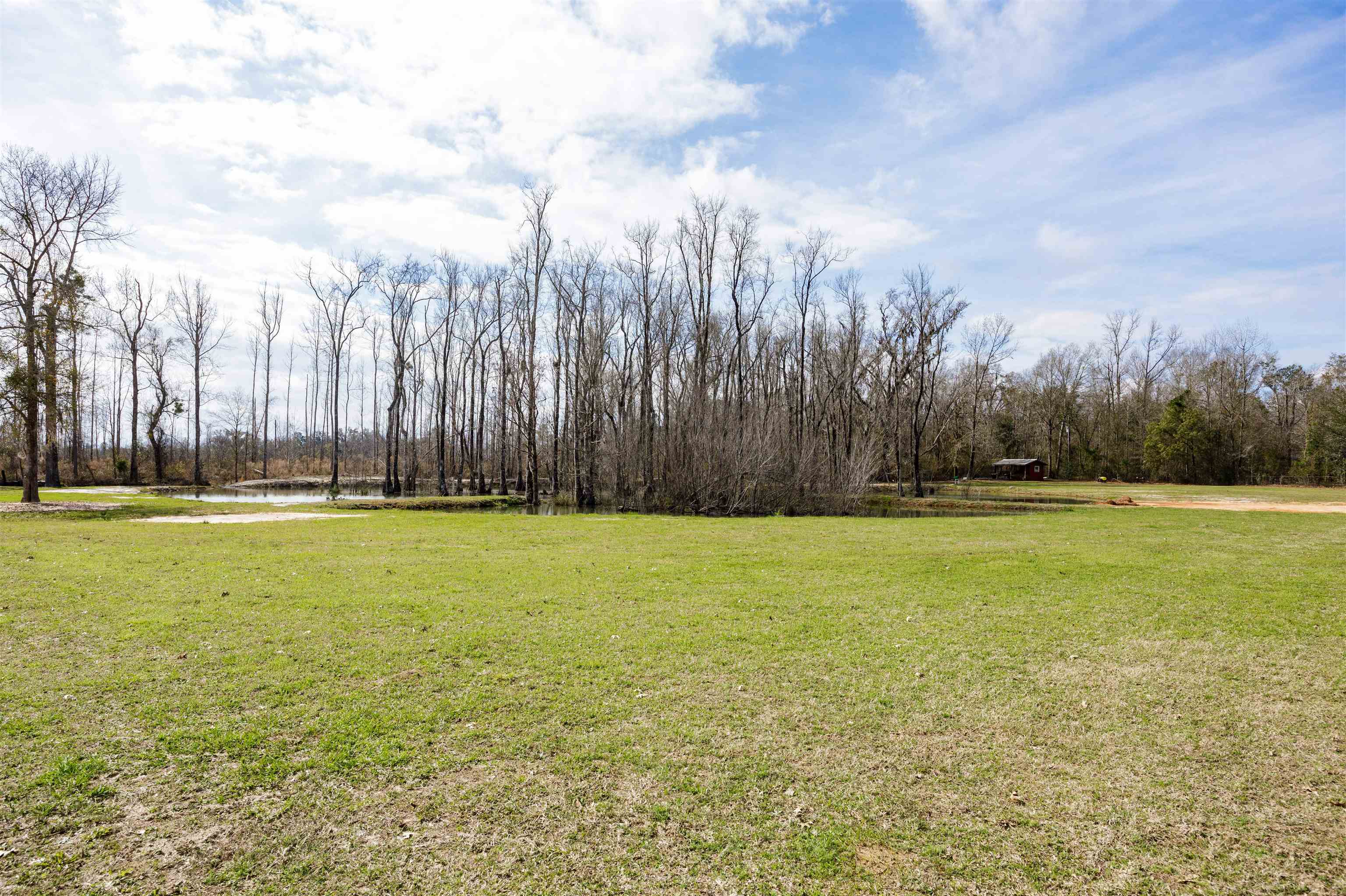 14364 Hoecake Road Bristol, FL 32321 - Photo 22 of 32 Gallery Image 22