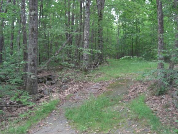 Cricket Hill Road Harrisville, NH 03450 - Photo 1 of 1