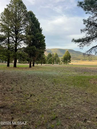$65,000 | 18 County Road, Alpine, AZ 85920