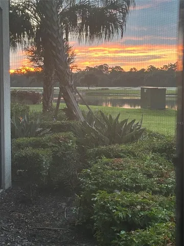 a view of outdoor space and yard