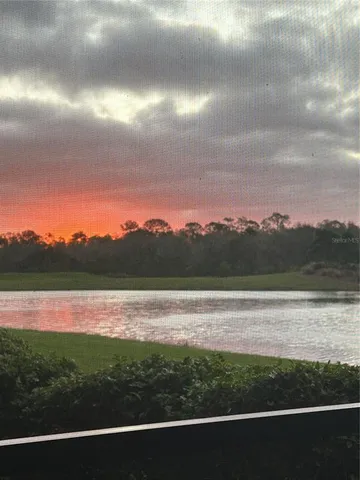 a view of a swimming pool with a yard