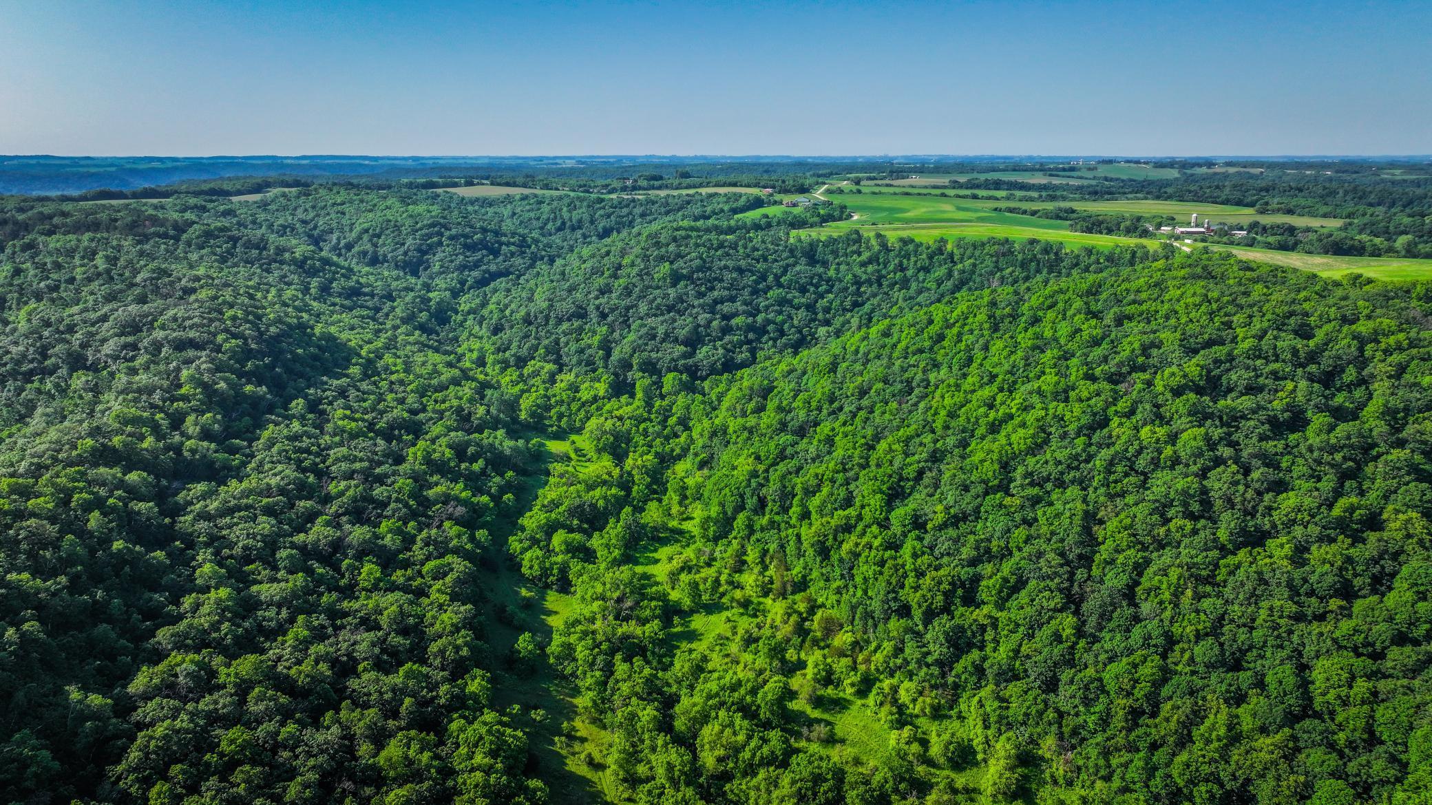 Xxx East Twin Ridge Road Houston, MN 55943 - Photo 1 of 94